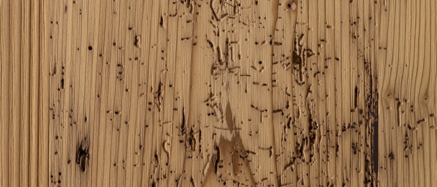 Das Küchenhaus mit eigener Schreinerei
– rechnen Sie mit besten Leistungen. Das Küchenhaus mit eigener Schreinerei
– rechnen Sie mit besten Leistungen.